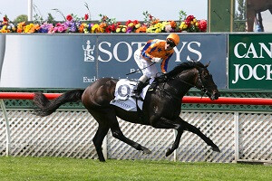 Xtravagant victorious in the Group 1 Sothys 43rd New Zealand 2000 Guineas. TDunell.